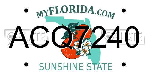 ACQ7240 Florida License Plate