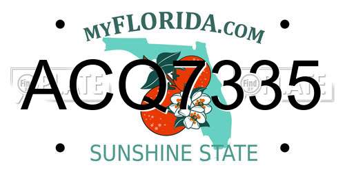 ACQ7335 Florida License Plate