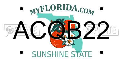 ACQB22 Florida License Plate