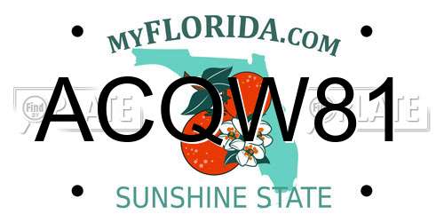 ACQW81 Florida License Plate