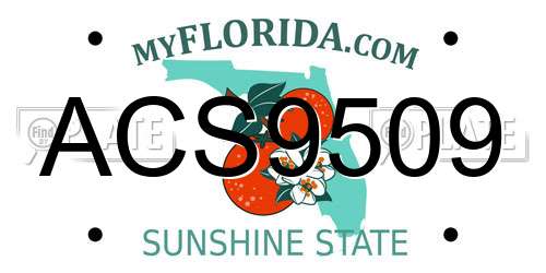 ACS9509 Florida License Plate