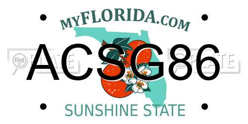 ACSG86 Florida License Plate