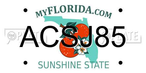 ACSJ85 Florida License Plate