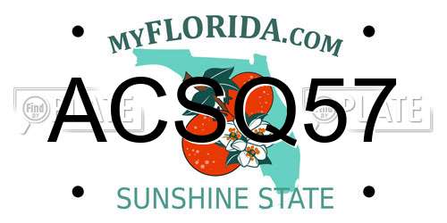 ACSQ57 Florida License Plate