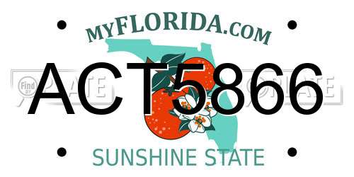 ACT5866 Florida License Plate