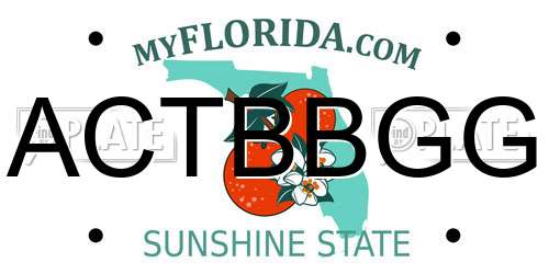 ACTBBGG Florida License Plate