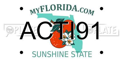 ACTI91 Florida License Plate
