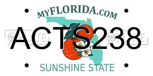 ACTS238 Florida License Plate