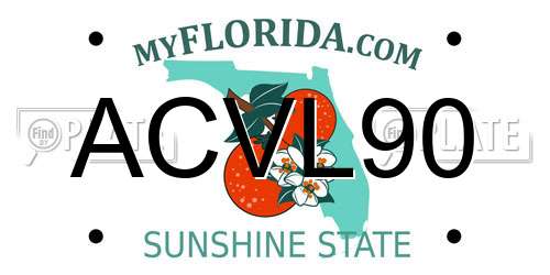 ACVL90 Florida License Plate