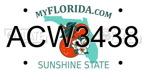 ACW3438 Florida License Plate