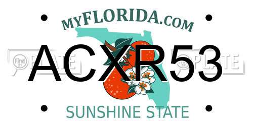 ACXR53 Florida License Plate