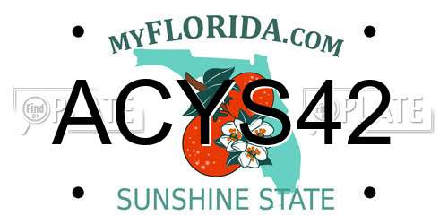 ACYS42 Florida License Plate