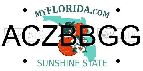 ACZBBGG Florida License Plate