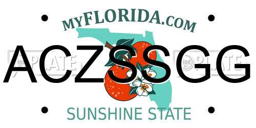 ACZSSGG Florida License Plate