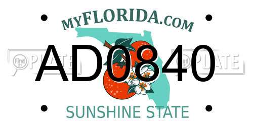 AD0840 Florida License Plate