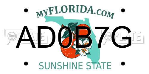 AD0B7G Florida License Plate