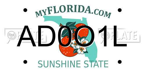 AD0O1L Florida License Plate