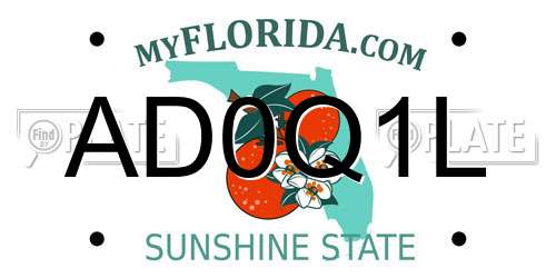 AD0Q1L Florida License Plate