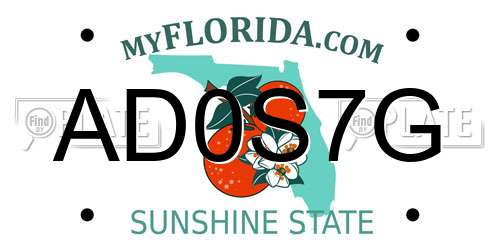 AD0S7G Florida License Plate