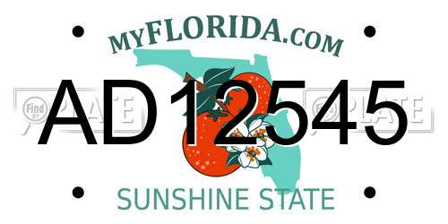 AD12545 Florida License Plate