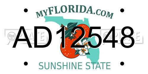 AD12548 Florida License Plate
