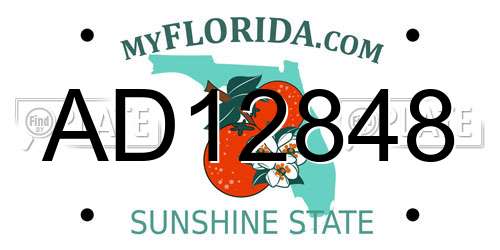 AD12848 Florida License Plate