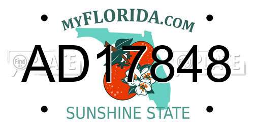 AD17848 Florida License Plate