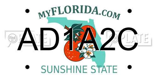 AD1A2C Florida License Plate