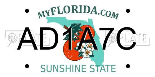 AD1A7C Florida License Plate