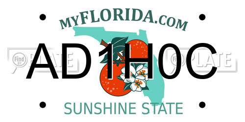AD1H0C Florida License Plate