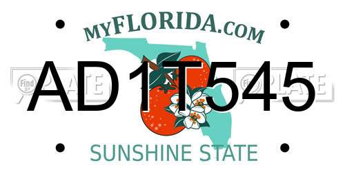 AD1T545 Florida License Plate