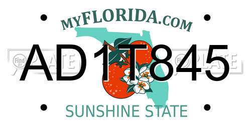 AD1T845 Florida License Plate