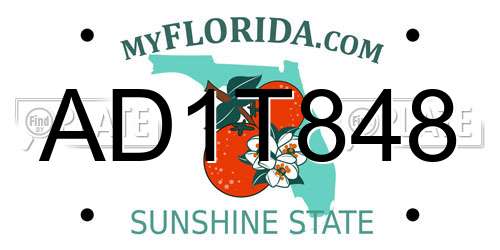 AD1T848 Florida License Plate