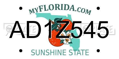 AD1Z545 Florida License Plate