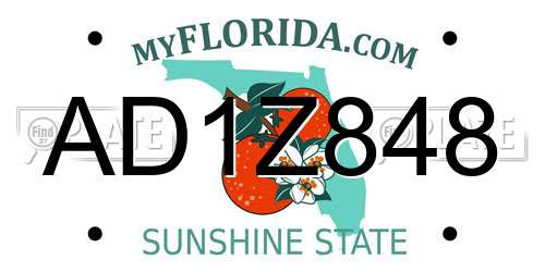 AD1Z848 Florida License Plate
