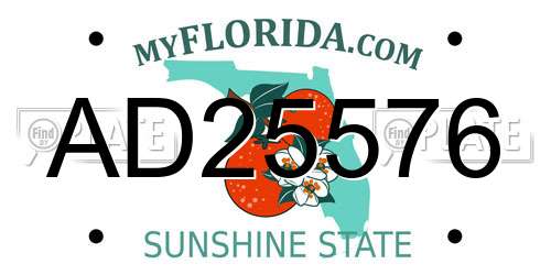 AD25576 Florida License Plate