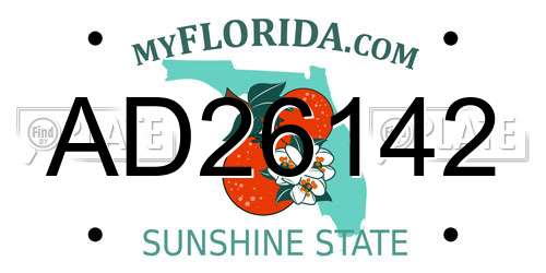 AD26142 Florida License Plate