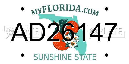 AD26147 Florida License Plate