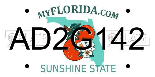 AD2G142 Florida License Plate