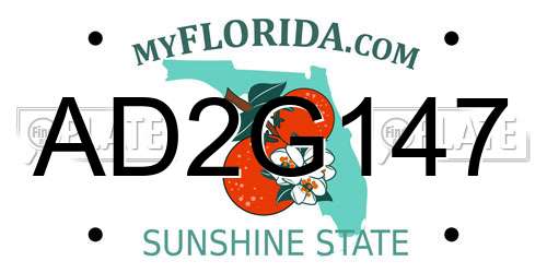 AD2G147 Florida License Plate