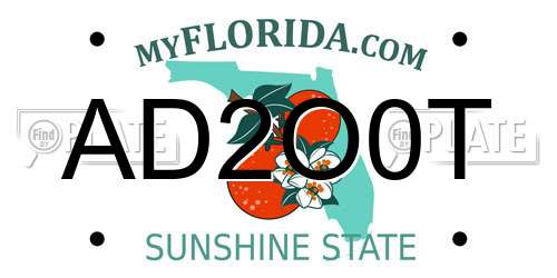 AD2O0T Florida License Plate
