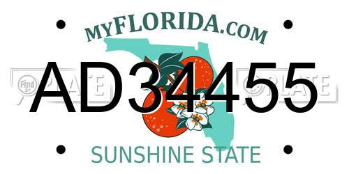 AD34455 Florida License Plate