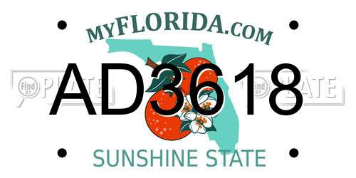 AD3618 Florida License Plate