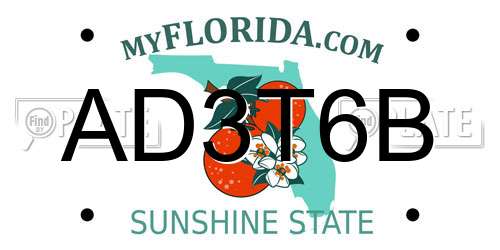 AD3T6B Florida License Plate