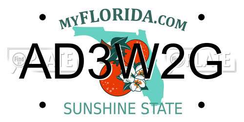 AD3W2G Florida License Plate
