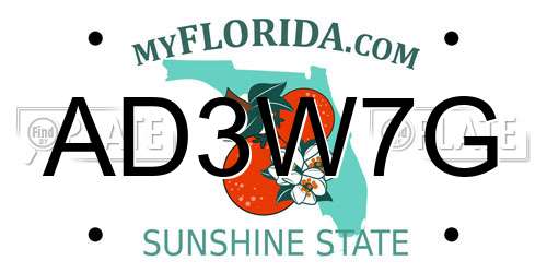 AD3W7G Florida License Plate