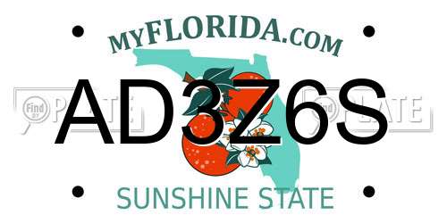 AD3Z6S Florida License Plate