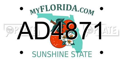 AD4871 Florida License Plate