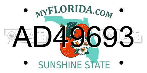 AD49693 Florida License Plate