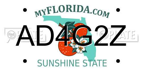 AD4G2Z Florida License Plate